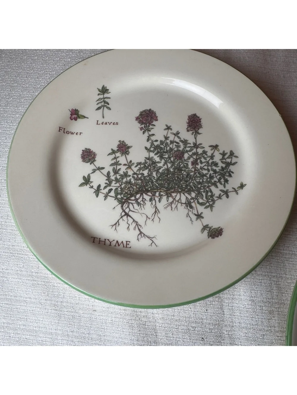 Vintage Williams Sonoma Culinary Herbs Plates Set Of 2 Thyme Borage 9 Inch